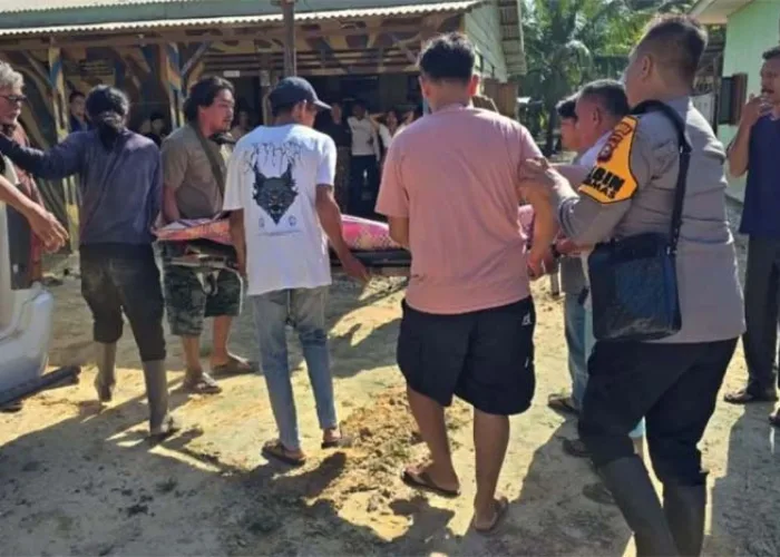 Seorang Ibu Rumah Tangga di Bengkalis Tewas Dipijak Gajah Saat Menjaga Ladang