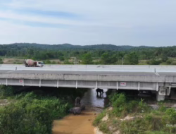 Jaga Migrasi Gajah Sumatera, Hutama Karya Bangun Underpass Tol Pekanbaru-Dumai