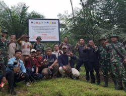 Dua Perusahaan Kuasai 8.133 Hektare Lahan Sawit Ilegal di Sumbar