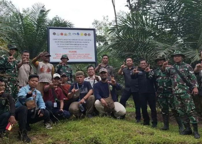Dua Perusahaan Kuasai 8.133 Hektare Lahan Sawit Ilegal di Sumbar