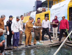 Kepri Kembali Ekspor Kerapu ke Hongkong