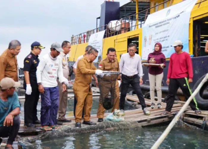 Kepri Kembali Ekspor Kerapu ke Hongkong