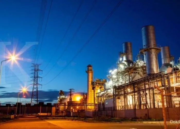 Sinarmas Masuki Bisnis Panas Bumi, Potensi Geothermal Kian Diminati