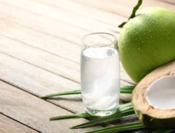 Fakta Atau Mitos: Benarkah Air Kelapa Muda Bisa Bersihkan Ginjal