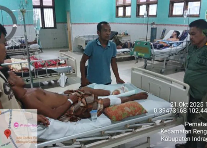 Dua Ekor Harimau Serang Warga di Inhu