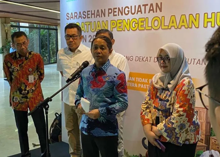 Pemerintah Godok Revisi UU Kehutanan dan UU Pemerintahan Daerah