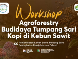 Ajak Petani Budidaya Kopi di Kebun Sawit, Yayasan Gambut Gelar Workshop di Siak dan Bengkalis