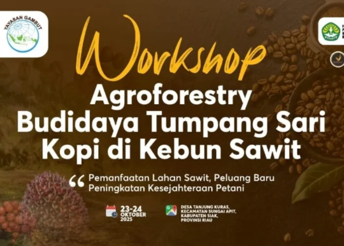 Ajak Petani Budidaya Kopi di Kebun Sawit, Yayasan Gambut Gelar Workshop di Siak dan Bengkalis