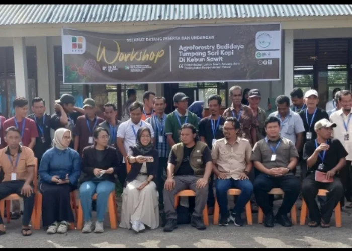 Membangun Kemandirian Ekonomi Petani Melalui Budidaya Tumpang Sari Kopi di Kebun Sawit