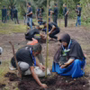 Menumbuh Kopi di Tengah Rimbunan Sawit: Harapan Baru dari Tanah Gambut Sungai Apit