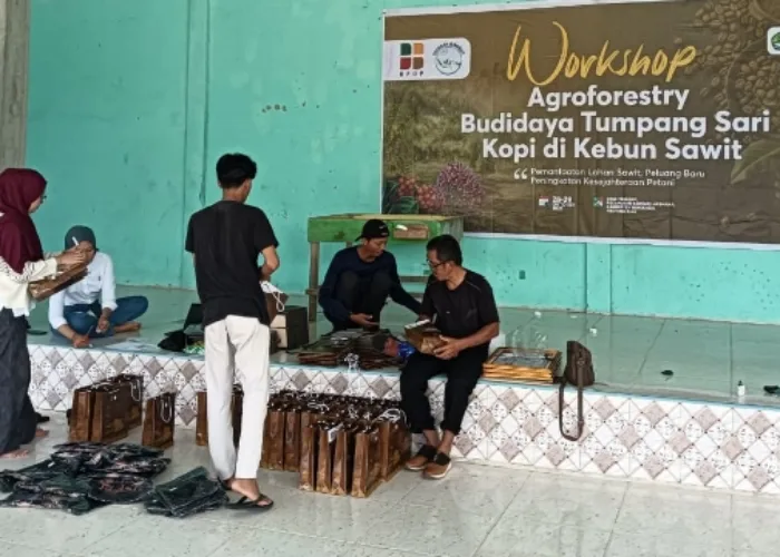 Sukses di Siak, Yayasan Gambut dan BPDP Kembali Gelar Workshop Agroforestry di Bengkalis