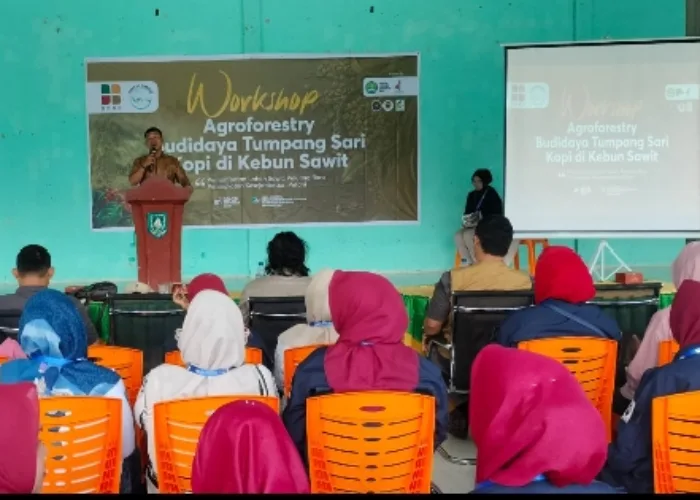 Optimalkan Kebun Sawit, Yayasan Gambut dan BPDP Ajarkan Petani di Bengkalis Budidaya Kopi Lewat Workshop Agroforestry