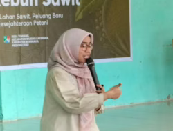 Workshop Agroforestry Bengkalis Ungkap Potensi Besar Budidaya Kopi Liberika di Lahan Gambut