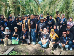 Semangat Petani Bengkalis Menyala, Kini Kopi Numpang di Kebun Sawit