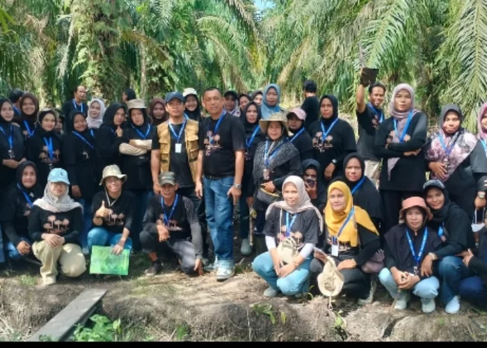 Semangat Petani Bengkalis Menyala, Kini Kopi Numpang di Kebun Sawit