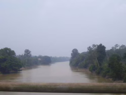 Sungai di Kampar Berpotensi Meluap, Sempat Menyusut Saat Kemarau