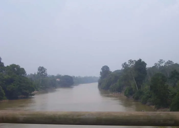 Sungai di Kampar Berpotensi Meluap, Sempat Menyusut Saat Kemarau
