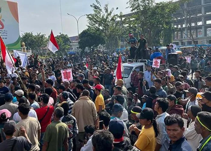 Pasca Perusakan Pos Tesso Nilo, Dirjen Gakkum Kerahkan Tambahan Personel
