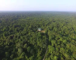 Demi Perlindungan Hukum, Masyarakat Adat Didorong Daftarkan Tanah Ulayat