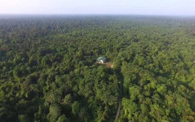 Demi Pelestarian dan Perlindungan, Masyarakat Adat Diminta Daftarkan Tanah Ulayat