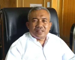 Penguatkan UMKM Menuju Ekonomi Berkelanjutan