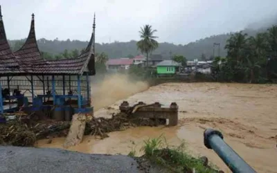 Ketika Penggundulan Hutan Buat Bencana di Indonesia Kian Parah