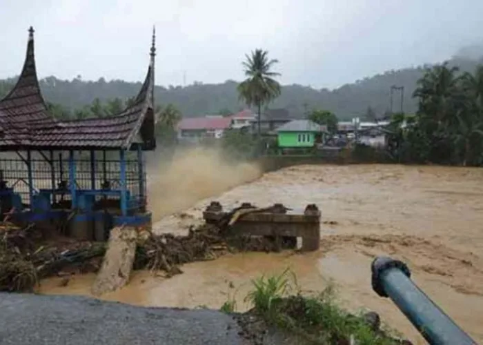 Ketika Penggundulan Hutan Buat Bencana di Indonesia Kian Parah