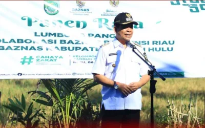 Wabup Syafaruddin Poti Panen Raya Lumbung Pangan di Rohul