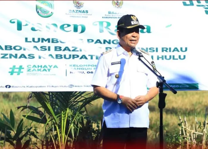 Wabup Syafaruddin Poti Panen Raya Lumbung Pangan di Rohul
