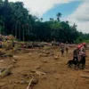 Mabes Polri Kirim Tambahan Empat Anjing K9 ke Sumbar, Bantu Pencarian Korban Banjir