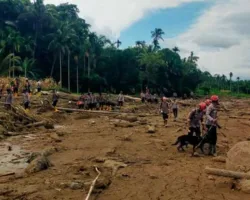 Mabes Polri Kirim Tambahan Empat Anjing K9 ke Sumbar, Bantu Pencarian Korban Banjir