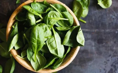 Inilah Sayuran Berkalsium Tinggi, Bantu Tulang Sehat Kala Menua