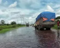 Banjir Rendam Jalan Nasional Simpang Obor Siak, Ratusan Warga Mengungsi