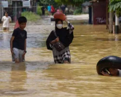 8 dari 12 Daerah di Riau Tetapkan Status Siaga Darurat Bencana