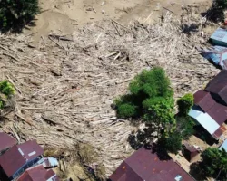 Walhi Desak Kemenhut Cabut Izin Perusahaan Pemicu Banjir Sumatera