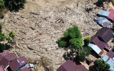 Walhi Desak Kemenhut Cabut Izin Perusahaan Pemicu Banjir Sumatera