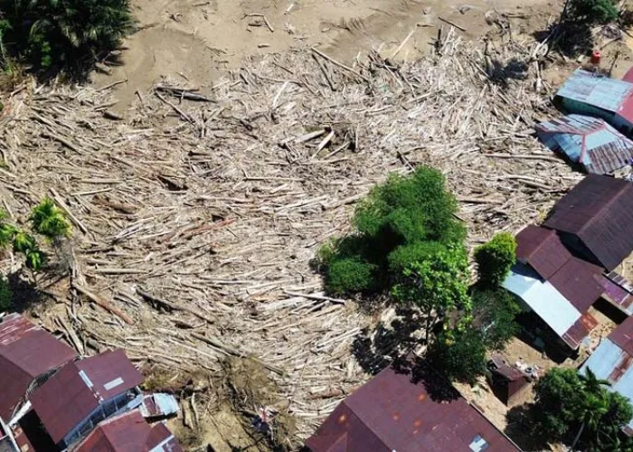 Walhi Desak Kemenhut Cabut Izin Perusahaan Pemicu Banjir Sumatera