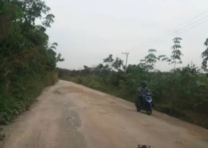 1,3 Km Jalan Tembus Tualang-Sungai Mandau Siak Segera Dibangun Pakai APBN