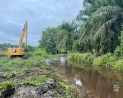 Percepat Penanganan Banjir Desa Dosan, PT BSP Turunkan Alat Berat Bersihkan Kanal