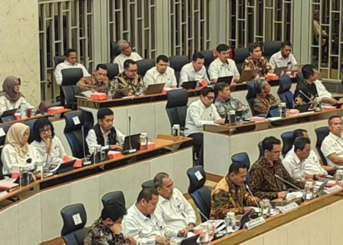 Ada 296.807 Hektare Tambang Ilegal Dalam Kawasan Hutan