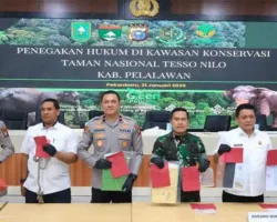 Kasus Perusakan Poskotis di TNTN, Polisi Tangkap Enam Orang