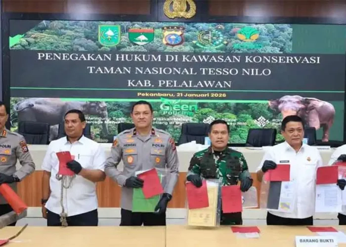 Kasus Perusakan Poskotis di TNTN, Polisi Tangkap Enam Orang