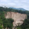 Tebing Ngarai Sianok di Sumbar Longsor