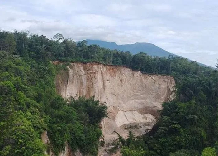 Tebing Ngarai Sianok di Sumbar Longsor