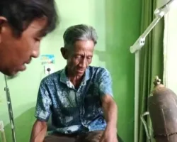 Beruang Serang Tiga Warga Sinurut Pasaman Barat Saat Panen Padi