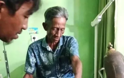Beruang Serang Tiga Warga Sinurut Pasaman Barat Saat Panen Padi