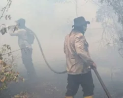 Karhutla Meluas di Bengkalis, 6 Hari Sudah Petugas Gabungan Berjuang