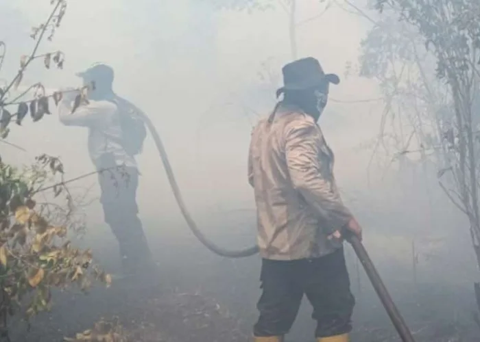 Karhutla Meluas di Bengkalis, 6 Hari Sudah Petugas Gabungan Berjuang