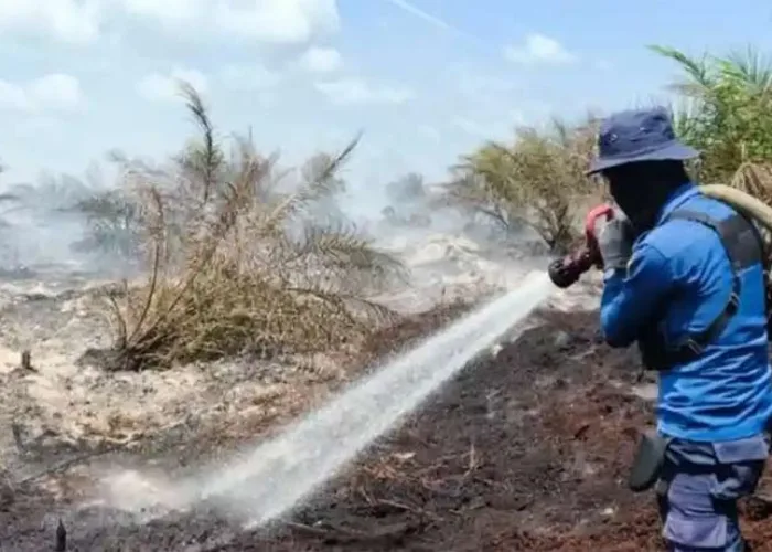 Pelalawan Tetapkan Siaga Darurat, Karhutla di Riau Meluas