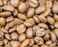 Tetap Ngopi Saat Ramadan? Ini 5 Jenis Kopi yang Lebih Aman Bagi Lambung